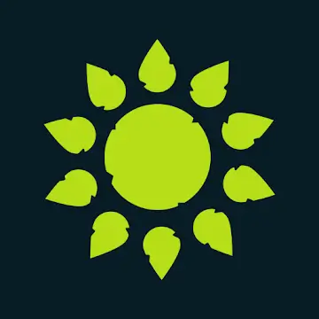 Wilderless Banner